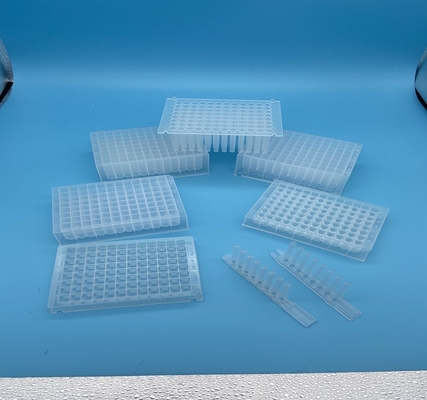 Δειγμένα κατώτατο βαθιά καλά PCR πιάτα 96 καλά διαφανές μαγνητικό μανίκι