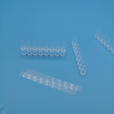 Διαφανείς PCR 0,2 μιλ. σωλήνες 8 μοριακός σωλήνας λουρίδων αντίδρασης της βιολογίας λουρίδων σωλήνων